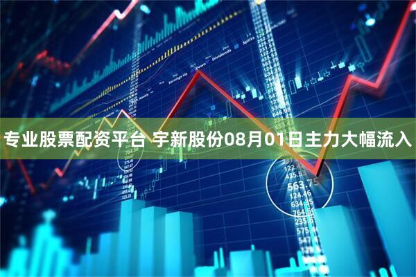 专业股票配资平台 宇新股份08月01日主力大幅流入